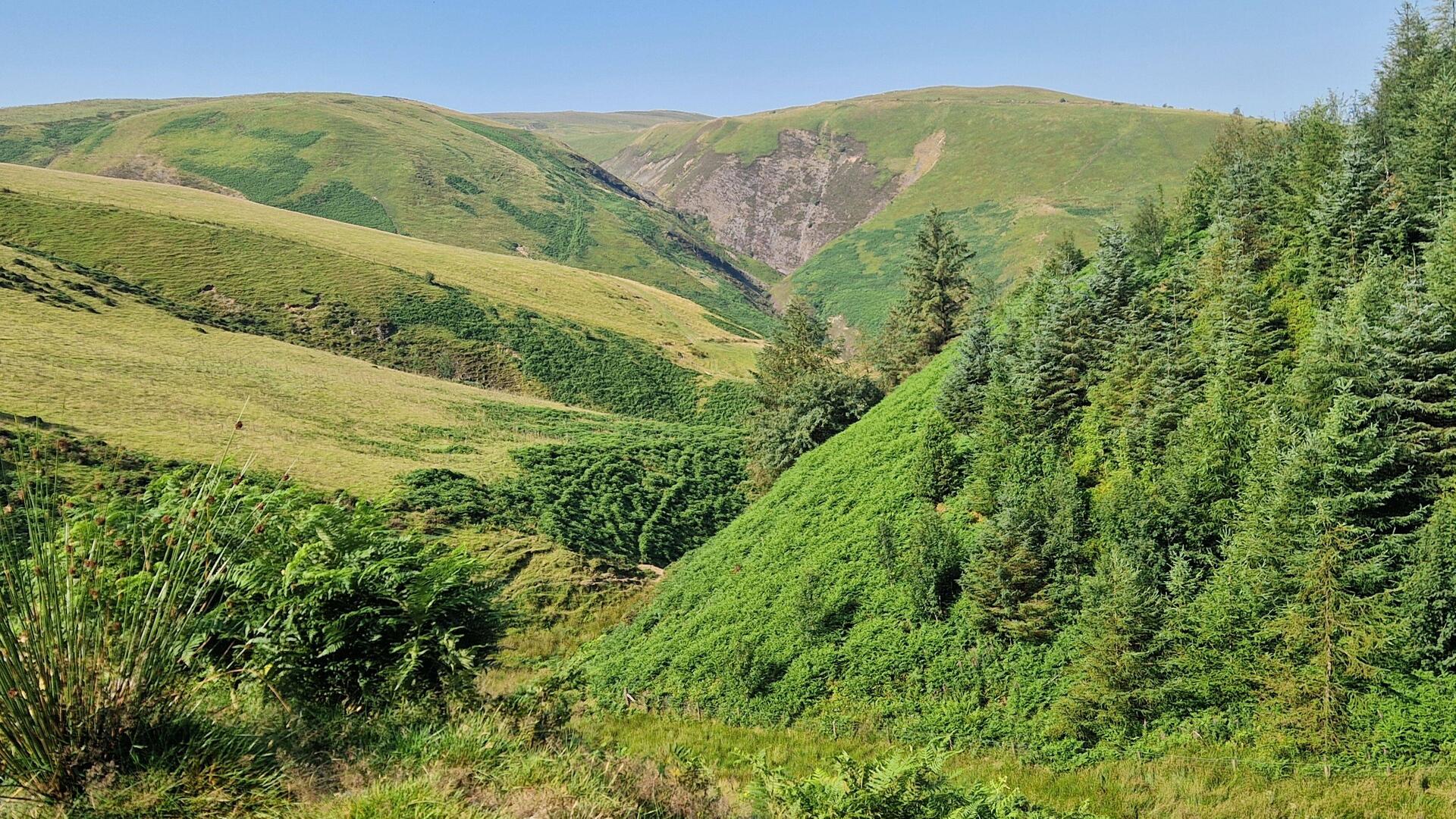 Attractive interlocking valleys