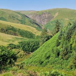 Attractive interlocking valleys