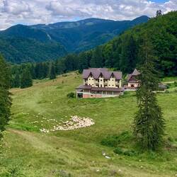 Ein Schäfer wandert mit seiner Herde durch die Berglandschaft