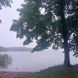 Abendlicher Regenspaziergang rund um die Burg und über die Holzbrücke.