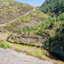 Leaving the footbridge over the afon Clywedog I could see it has a large inviting pool to the right