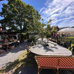 zu Besuch bei Rubens Restaurant