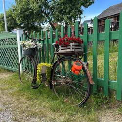 ...ausrangiertes Fahrrad