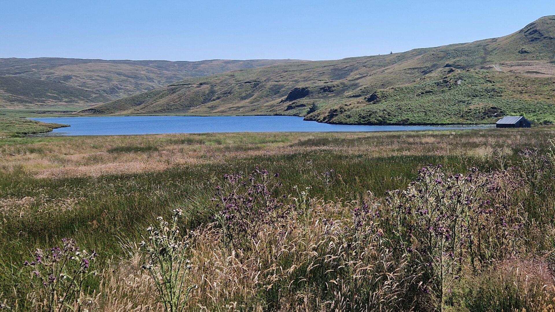 Bugeilyn with boat house in the right of the picture