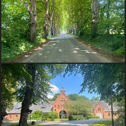 Rückfahrt mit Umleitung durch Schönböken. Die Allee ist schon herrlich 🤩
