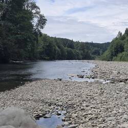 Bogachiel River