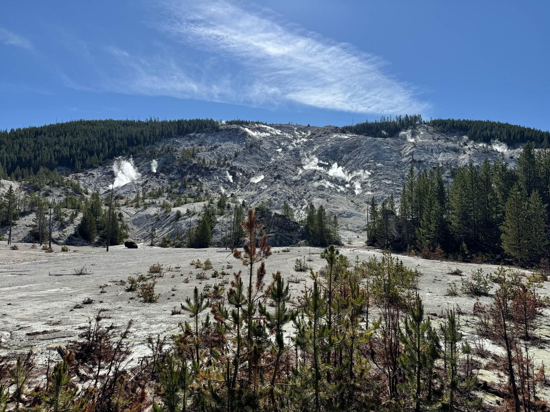 Roaring Mountain