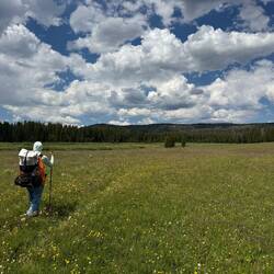 kurz vor der Ankunft im Yellowstone Nationalpark