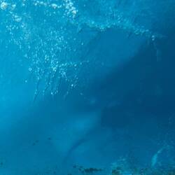 Cool ice feature in Glacier pool