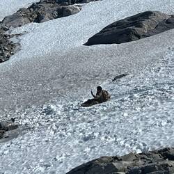 Dutch soldier sliding down the mountain.