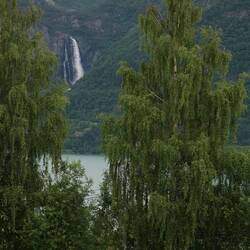 .... Und Feigefossen.