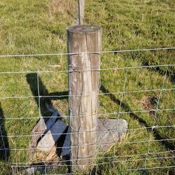 A stone and pieces of timber are presumably to assist crossing fence