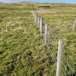 OS Map has path on East / right of this fence. But there is no crossing over this tangential fence