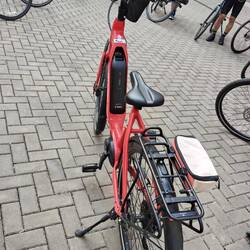 My trusty steed