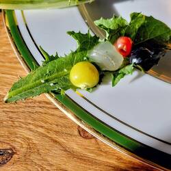 So many incredible fresh flavours