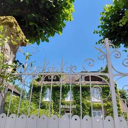 Some of the beautiful houses and special windows in Barbizon