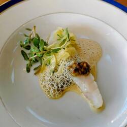 The Turbot with artichoke mousse