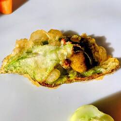 Crispy zucchini shell with tempura batter