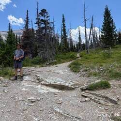 Aster Park Viewpoint