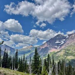 Aster Park Overlook