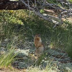 This little fella was posing! 😊