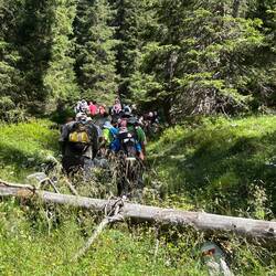 Eine Senioren Wandergruppe beim Aufstieg