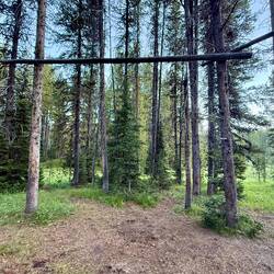 Der offizielle Campingground bestand aus flachem Waldboden und dieser Stange.