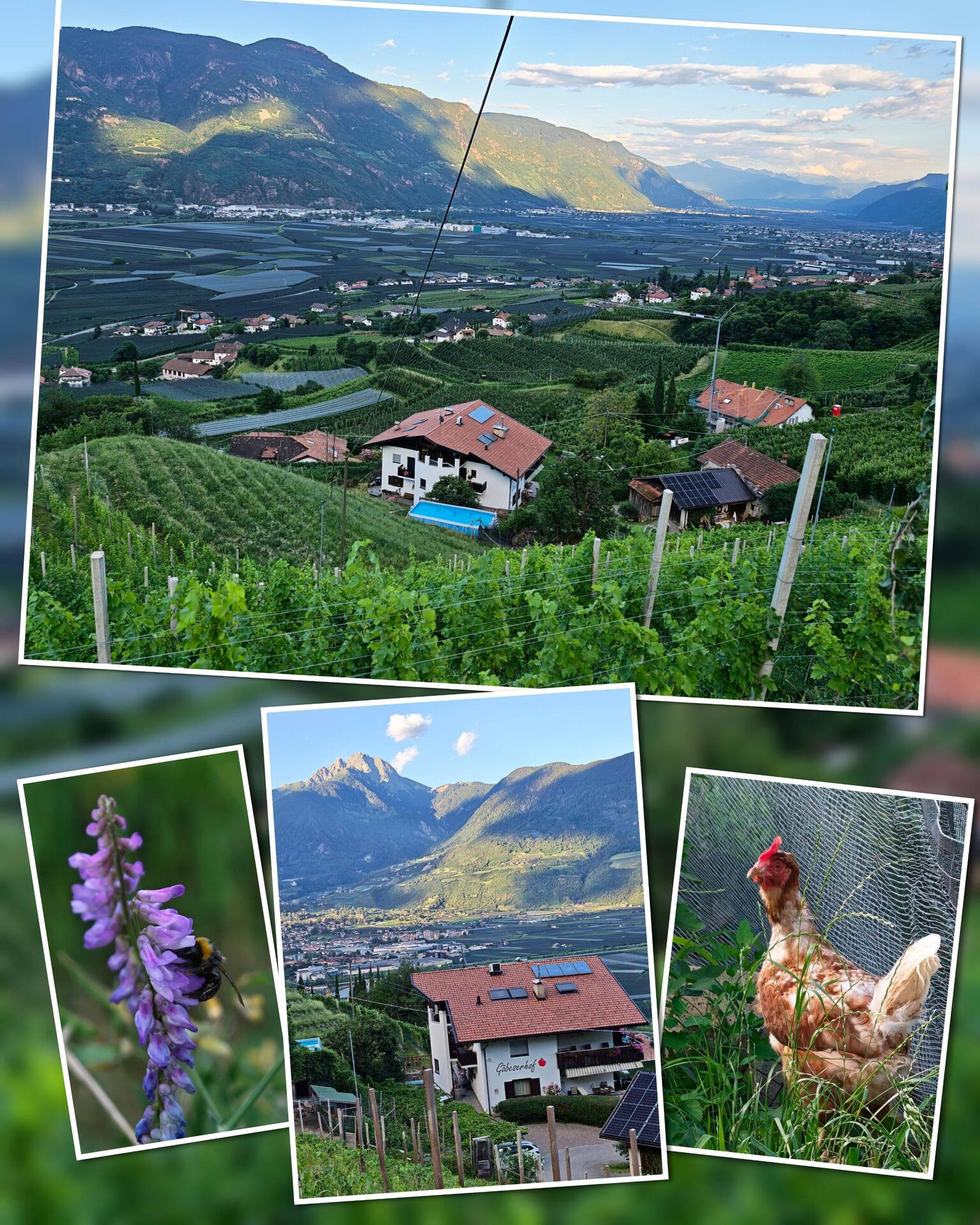 Blick auf den Göbeserhof