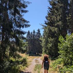 Hinunter zur Haslachschlucht
