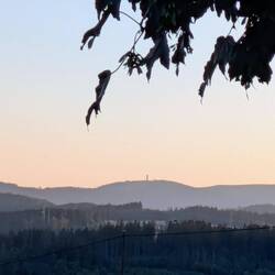 Feldberg