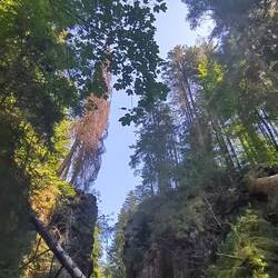 Rechenfelsen, Haslachschlucht