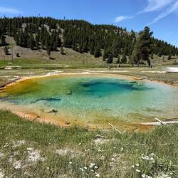 auf dem Weg zur Grand Prismatic Spring