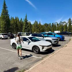 Danach sind wir mit dem Auto zum bekanntesten Geysir "Old Faithful" gefahren.