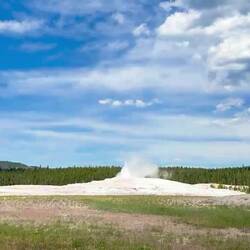 Old Faithful in Aktion!
