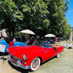 El glorioso Thunderbird con bandeja de Drive in