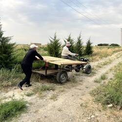 Le motoculteur sert aussi à transporter le portail du voisin !