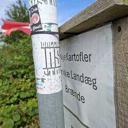 Angebot am Wegrand