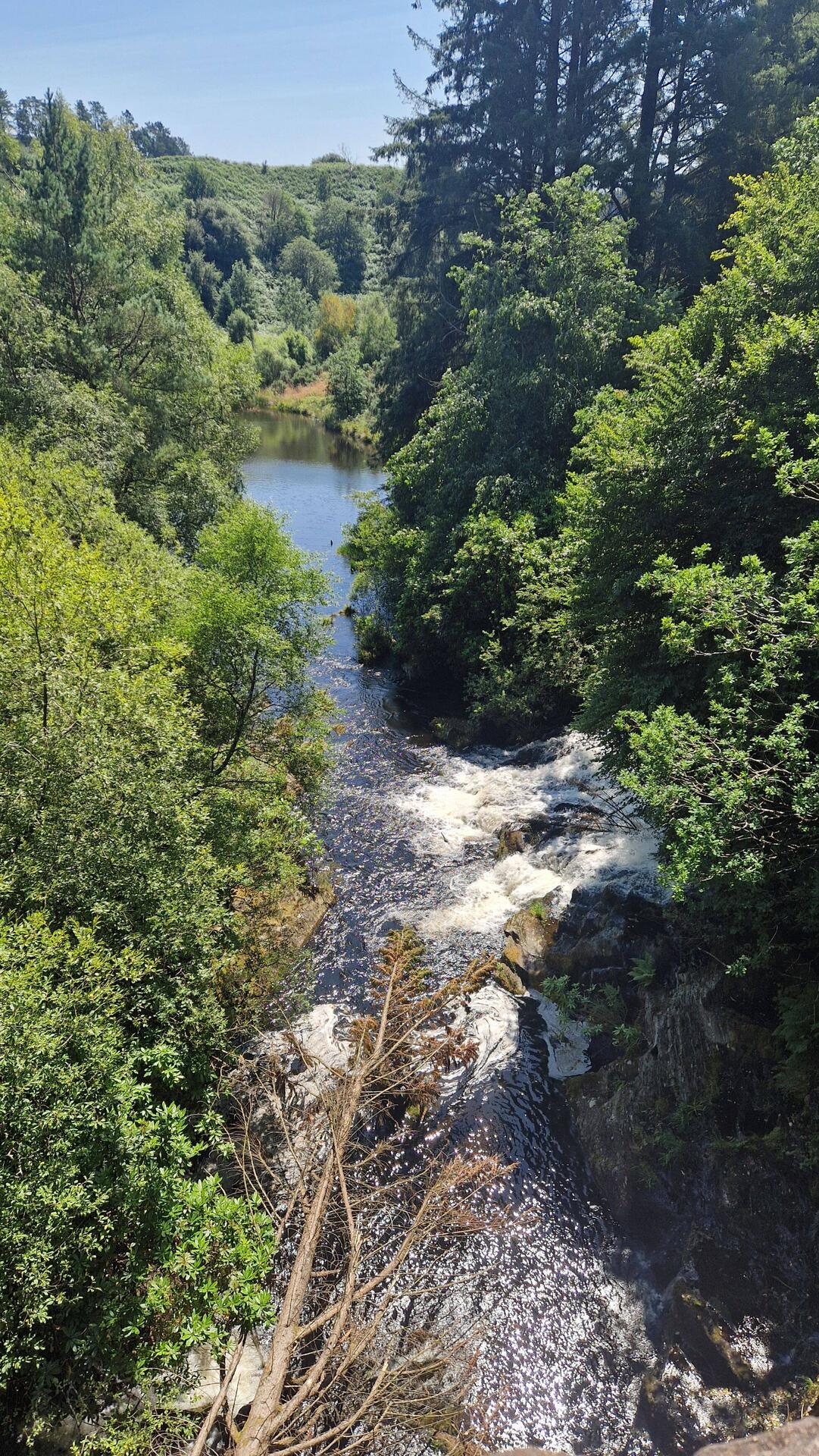 Waterfalls on afon Rheidol in Ponterwyd