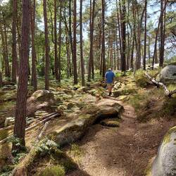 Yes, we even climbed up a small hill of boulders. Not sure it qualifies as bouldering though!