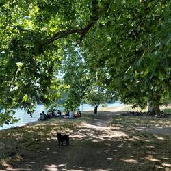 Picnique on the banks of Le Seine