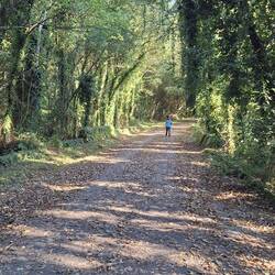 Along the way...