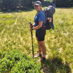 Noch wandern wir viel durch Wälder, die uns gut vor der Sonne schützen