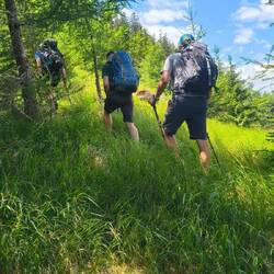 Die meiste Zeit wandern wir unter der Baumgrenze