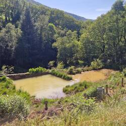 I think these are settling pools to remove toxic substances from water courses due to mining