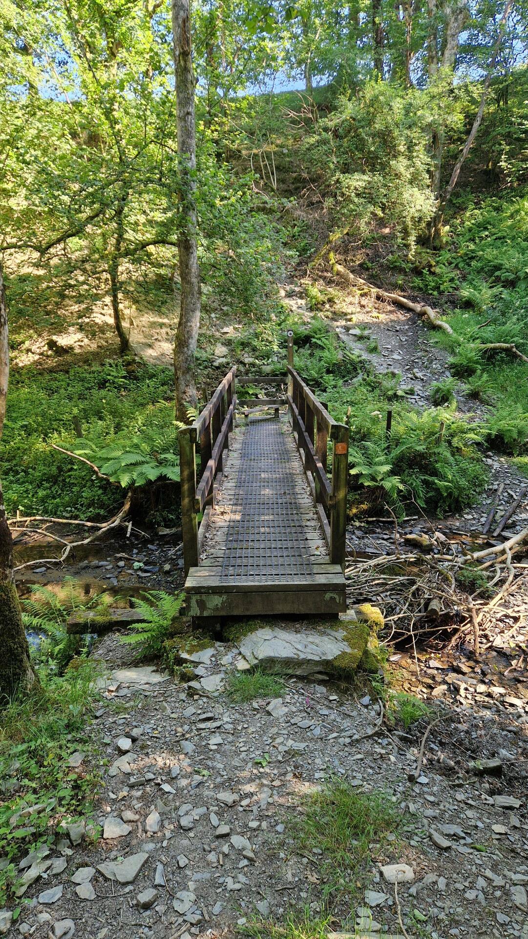 Footbridge across stream tributary to the afon Rheidol