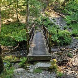 Footbridge across stream tributary to the afon Rheidol