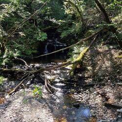 Small waterfall photographed from footbridge over tributary stream to the afon Rheidol