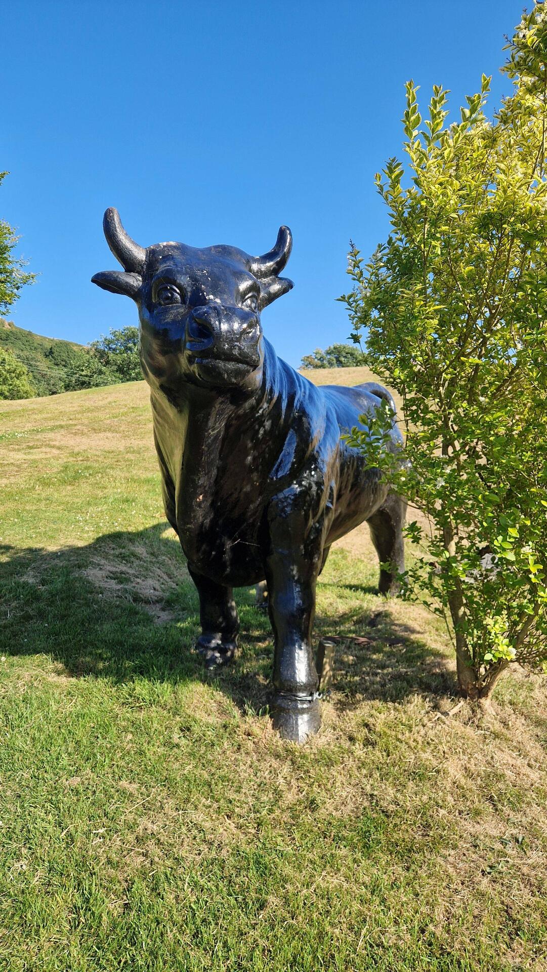 Art around Woodlands campsite - Bull