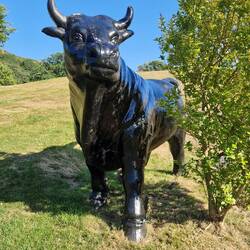 Art around Woodlands campsite - Bull