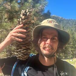 Huge pine cone we found along the way